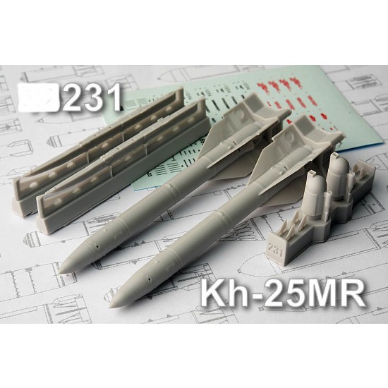 1/72 Kh-25MR Short-range Modular Missiles (2pcs)