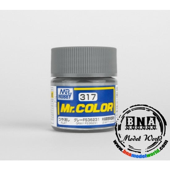 Solvent-Based Acrylic Paint - Flat Grey FS 36231 (10ml)