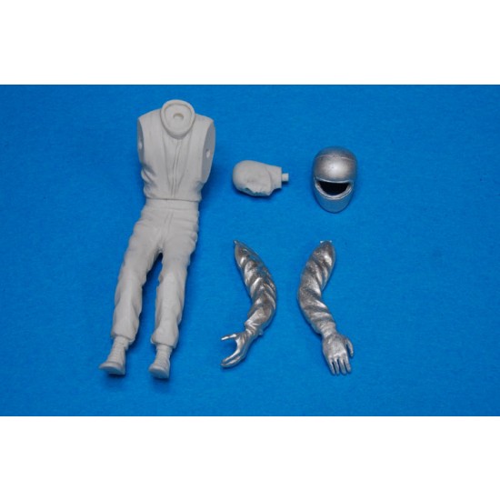 1/20 1979 F1 Driver Figure [Driving Style - Type V]