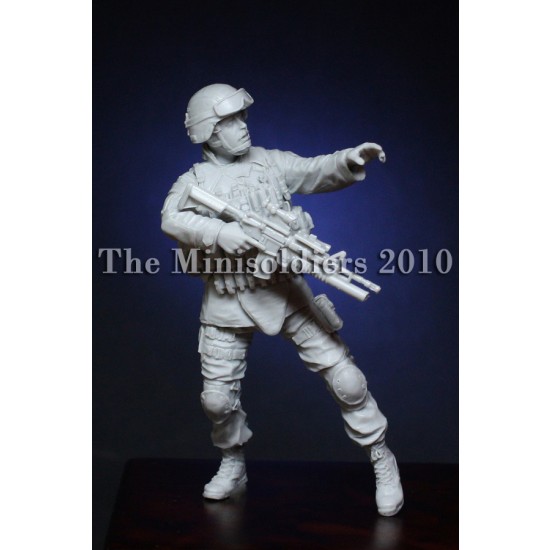 1/35 Soldier of 10th Mountain Division (1 figure)