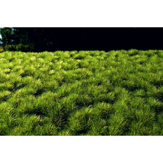 Grass Tufts - Light Green (Size of Sheet: 18x28cm, Grass: 6mm)