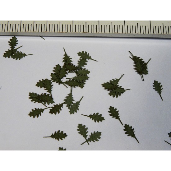 1/32, 1/35 Northern Red Oak Leaves - Green (Leaser Cut)