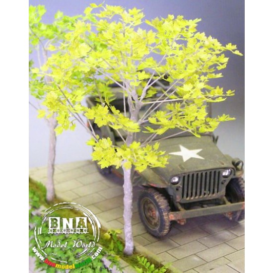1/35 Sycamore - Paper Plant kit