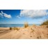 Diorama Series Acrylic Terrains - Beach Sand (250ml)