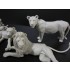 1/35 (54mm) Wild Life Series - Family of Lions (6pcs, resin)