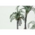 1/72 Howea Belmoreana Palm Leaves (Colour Photo-etched Set)