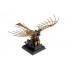 Leonardo Da Vinci The Marvellous Machines - Flying Machine Ornithopter