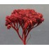 Dark Red Natural Flowers (250ml box) suitable for all scales