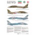 1/48 Grumman F-14A Tomcat Decals: The Last Active Tomcats - Iranian "Ali-Cat" for Tamiya
