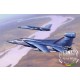 1/48 General Dynamics EF-111 Raven