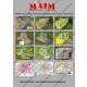 1/35 Military Wall Maps Iraq/Afghanistan No.1