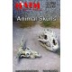 1/35 Animal Skulls 