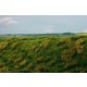 [Premium Line] Grass Mat - Fallow Field, Early Summer (Size: 18x28cm / 7"x11")