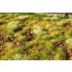 [Premium Line] Grass Mat - Stony Steppe, Late Summer (Size: 18x28cm / 7"x11")