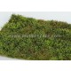 [Premium Line] Grass Mat - Wild Area w/Bushes, Spring (Size: 18x28cm / 7"x11")