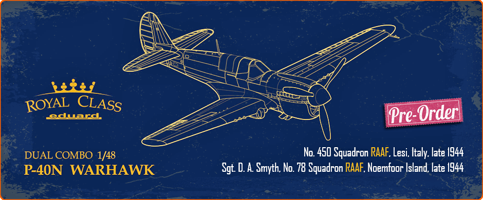1/48 Curtiss P-40N Warhawk Dual Combo [Royal Class] (RAAF decal included)