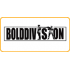 Bolddivision