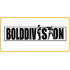 Bolddivision