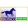 Bronco Models