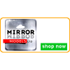 Mirror Models