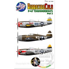 1/72 P-47 Thunderbolt Part 3 Decals
