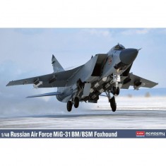 1/48 Russian AF MiG-31BM/BSM Foxhound Interceptor Aircraft