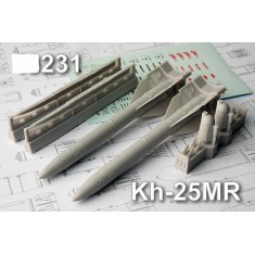 1/72 Kh-25MR Short-range Modular Missiles (2pcs)