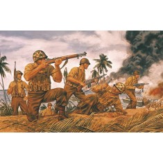 1/72 WWII US Marines (46 figures)