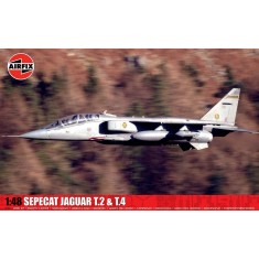 1/48 SEPECAT Jaguar T.2 and T.4