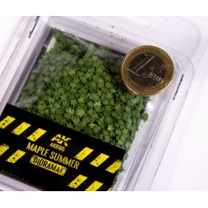 1/35 1/32 75mm 90mm Scale Maple Summer Leaves (7gr)