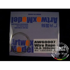 Stainless Steel Wire Rope (Diameter: 0.3mm, Length: 100cm)