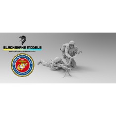 1/72 Modern US Marines Machine Gun Team, Iraqi Freedom Set (2 Figures)