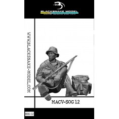 1/35 MACV SOG Soldier #12 (1 figure)