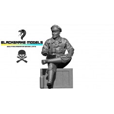 1/35 Waffen-SS Soldier - Normandy, Summer 1944