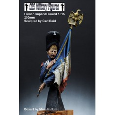 200mm French Imperial Guard with Colour (bust)