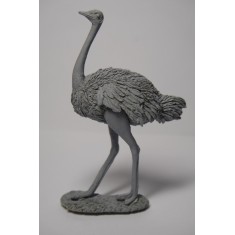 1/35 Struzzo / Ostrich