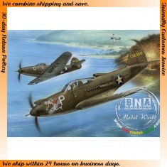 1/32 US P-39D Airacobra