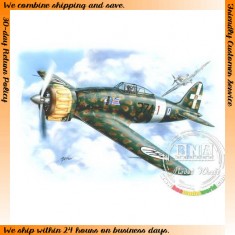 1/48 Italian Aermacchi C.200 I Serie "Bubble Canopy"