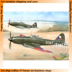 1/48 Avia B-33 Czechoslovakian Build II-10 "Beast"