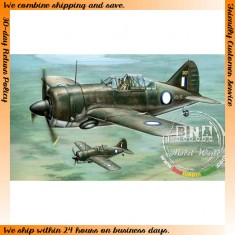 1/48 Australian Buffalo Model 339-23 "RAAF & USAAF" (Australia, USA)