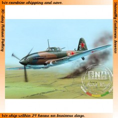 1/48 Russian Ilyushin Il-10 "Last WWII Days"