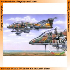 1/72 Argentina F.M.A. IA-58A Pucara 