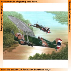 1/72 Argentina Hawk lll Model 68 "Over Siam and Argentina"