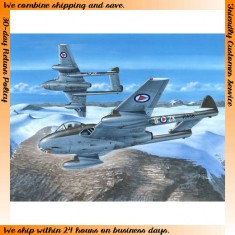 1/72 De Havilland Vampire FB 52 "In Northern Skies"