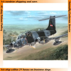 1/72 FMA IA-58A/D Pucara "Still Flying"