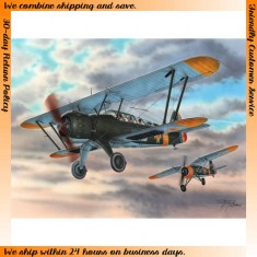 1/72 IAR-38 ''Rumanian Reconnaissance Plane'' 
