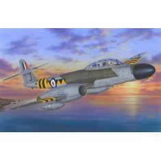 1/72 Armstrong Whitworth Meteor NF Mk.13 (Mid-East All-Weather Fighter)