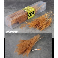Teloxys Aristata (box: 30 x 5 x 5cm) for Making Tree Leaves