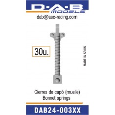 1/24 Bonnet Spring (30pcs)