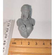 Non-box Miniatures - Unpainted Resin Bust (Steampunk)